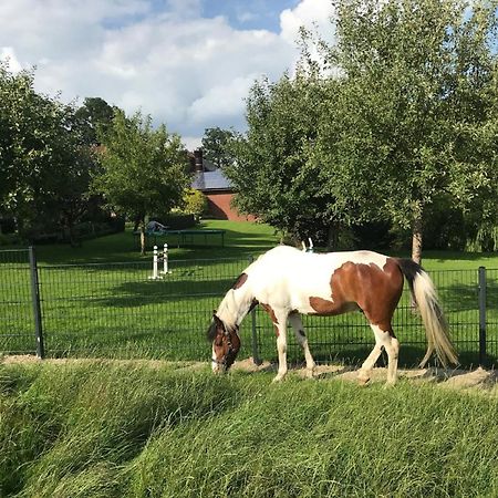 Gutshof Schulze-Althoff Pensionat Schöppingen Exteriör bild
