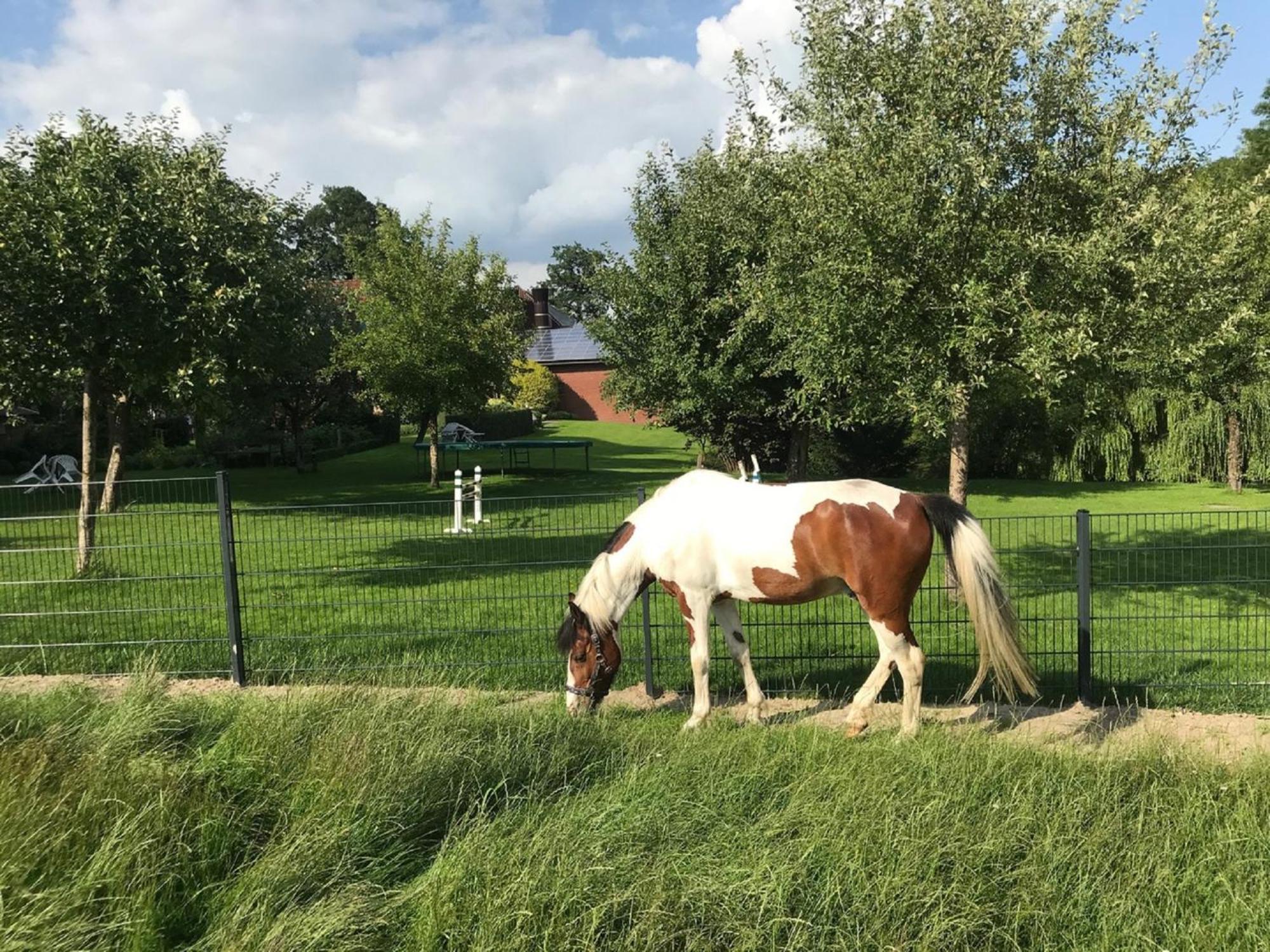 Gutshof Schulze-Althoff Pensionat Schöppingen Exteriör bild